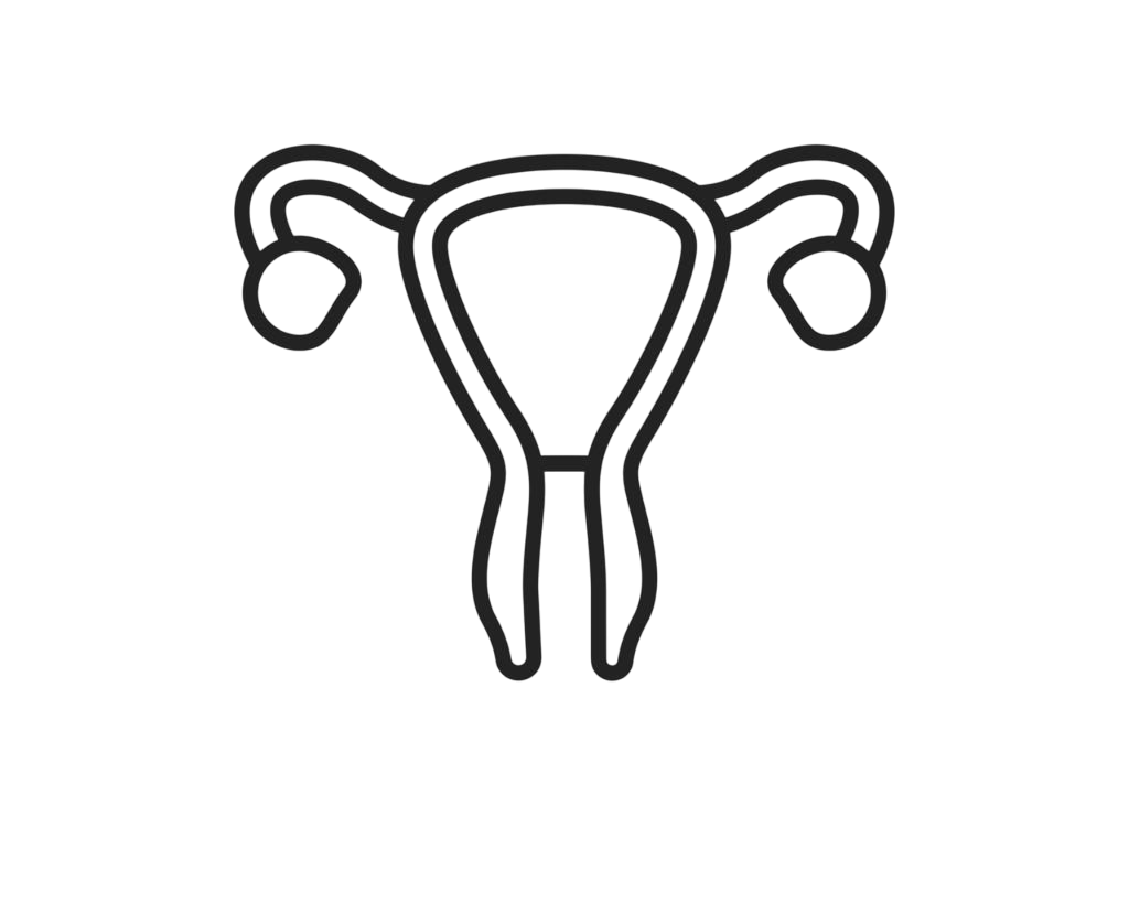 Kadın Hastalıkları ve Doğum (Jinekoloji)